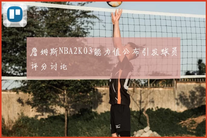 詹姆斯NBA2K03能力值公布引发球员评分讨论