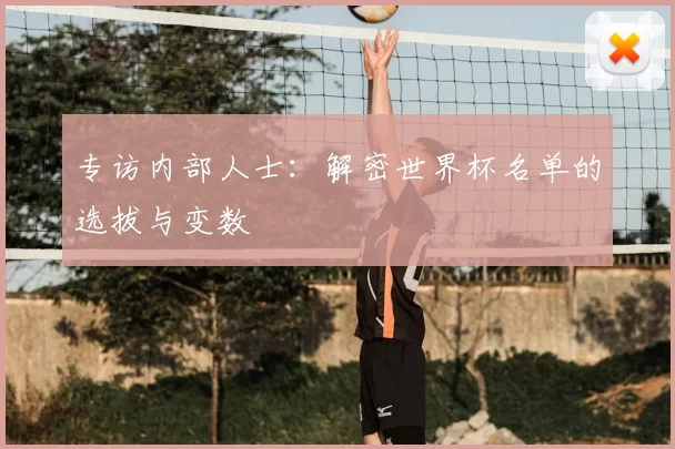 专访内部人士：解密世界杯名单的选拔与变数
