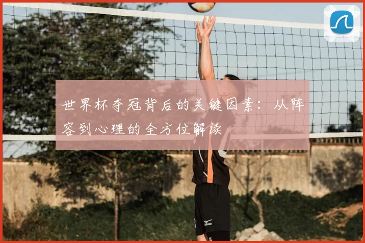 世界杯夺冠背后的关键因素:从阵容到心理的全方位解读