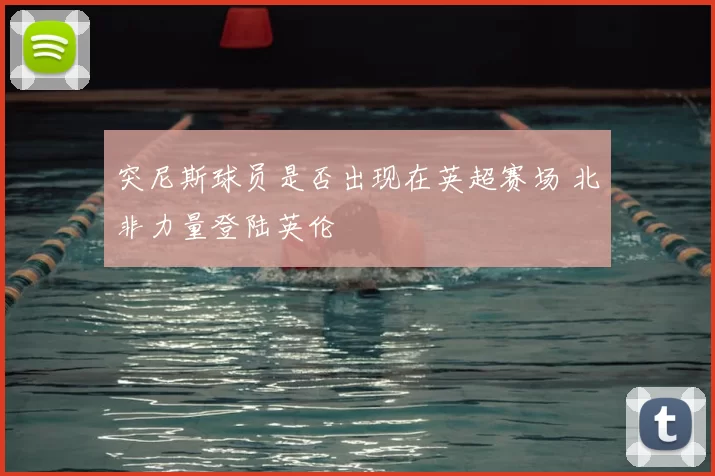 突尼斯球员是否出现在英超赛场 北非力量登陆英伦