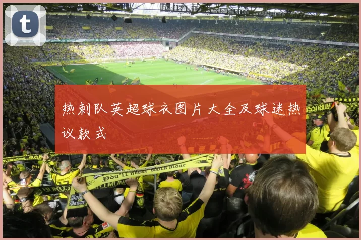 热刺队英超球衣图片大全及球迷热议款式