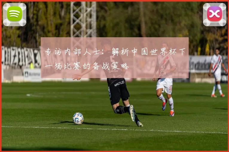 专访内部人士:解析中国世界杯下一场比赛的备战策略