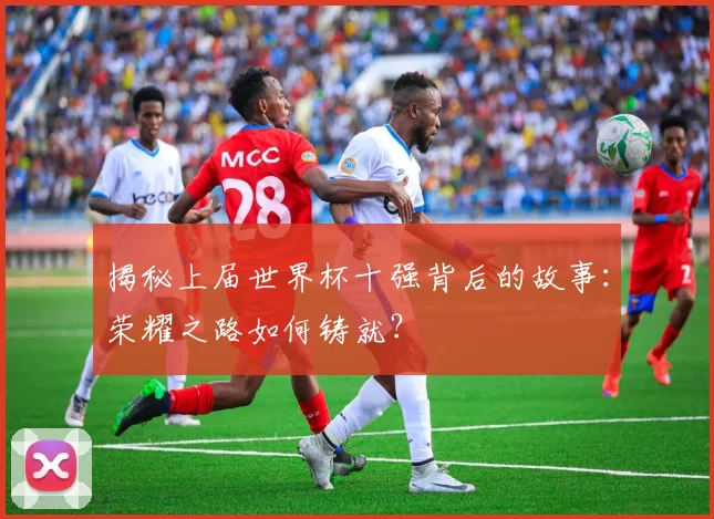 揭秘上届世界杯十强背后的故事：荣耀之路如何铸就？
