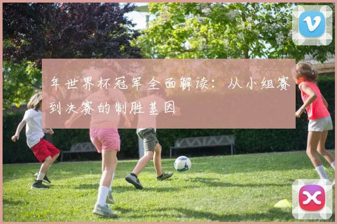 年世界杯冠军全面解读:从小组赛到决赛的制胜基因