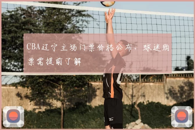 CBA辽宁主场门票价格公布，球迷购票需提前了解