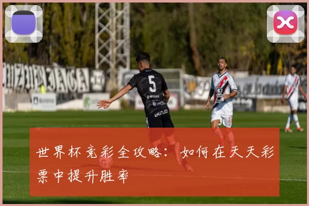 世界杯竞彩全攻略:如何在天天彩票中提升胜率