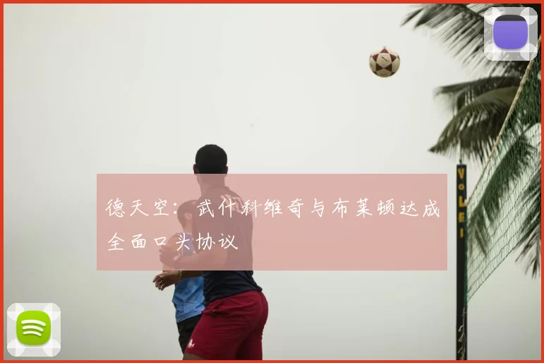 德天空:武什科维奇与布莱顿达成全面口头协议