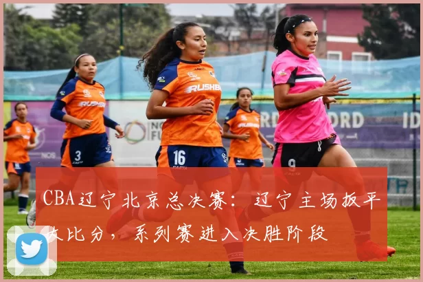 CBA辽宁北京总决赛：辽宁主场扳平大比分，系列赛进入决胜阶段