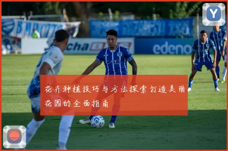 花卉种植技巧与方法探索打造美丽花园的全面指南