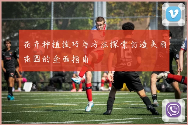 花卉种植技巧与方法探索打造美丽花园的全面指南