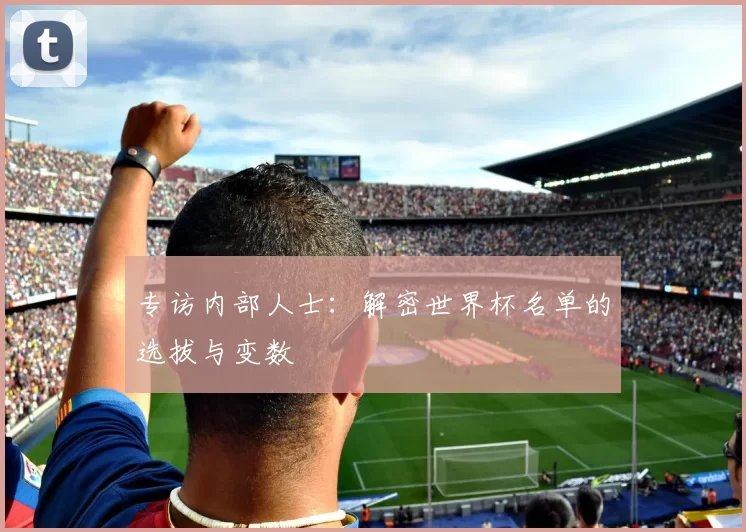专访内部人士：解密世界杯名单的选拔与变数